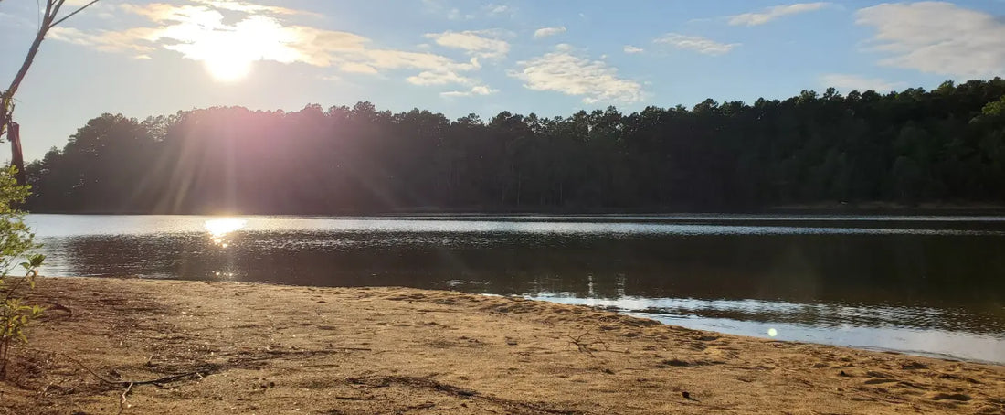 10 Reasons to Visit Chase City, Virginia