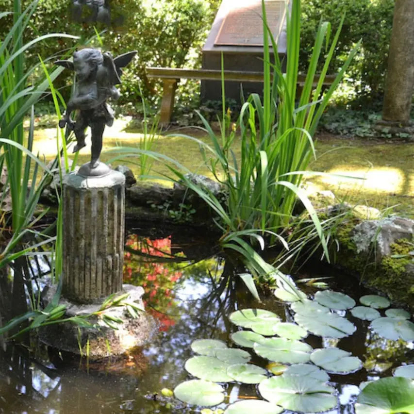 Fish pond with water plants and lily pads at MacCallum More Museum & Gardens in Chase City VA